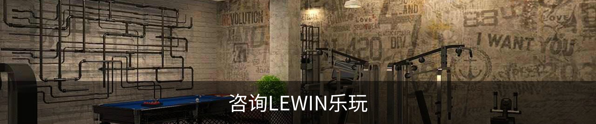 咨询LEWIN乐玩